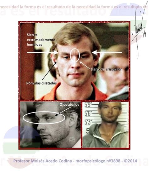 The crimemag jeffrey dahmer - Oct 3, 2022 · Security guards found Dahmer in a pool of blood around 8 a.m., according to the New York Times. Dahmer was transported to a local hospital and pronounced dead at 9 a.m. that morning, having suffered two skull fractures and brain trauma. Anderson was transported to the University of Wisconsin, where he would be pronounced dead on Dec. 1. 